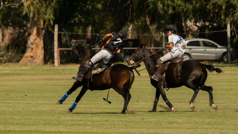 Castagnola: líder joven con voz propia en el polo argentino - deportes - contenido relacionado